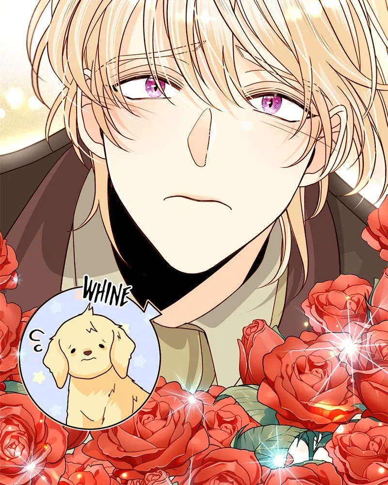 Page 41 of Chapter 95: Chapter 95